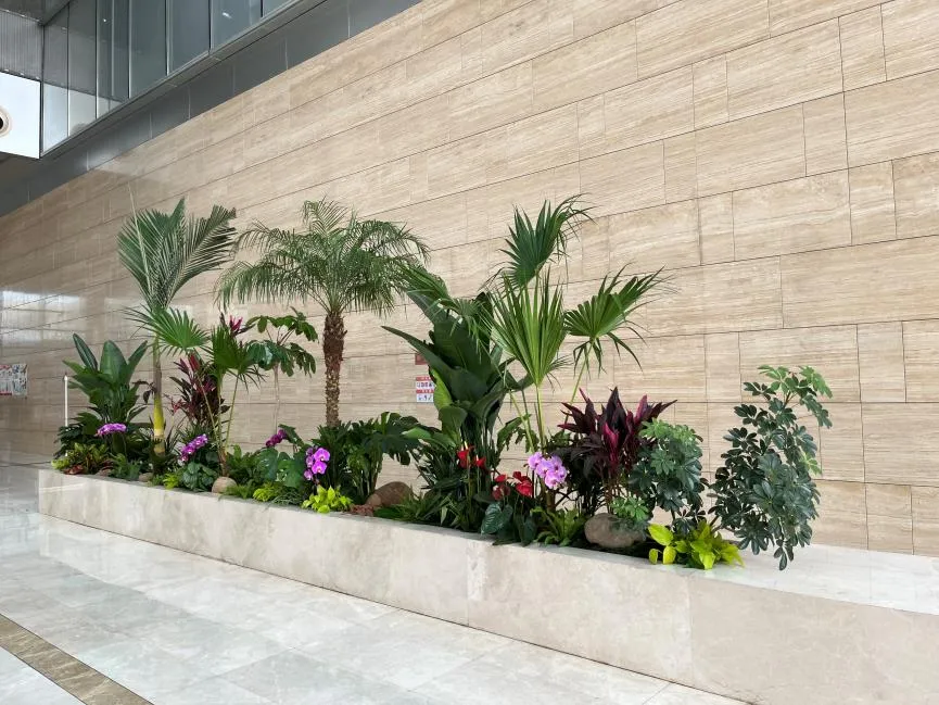 宁波花木出租方案来袭，焕新你的世界！><div class=